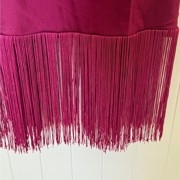 NWT - VICI  Gilli Satin Fringe Trim Midi Dress - Picture 6 of 10